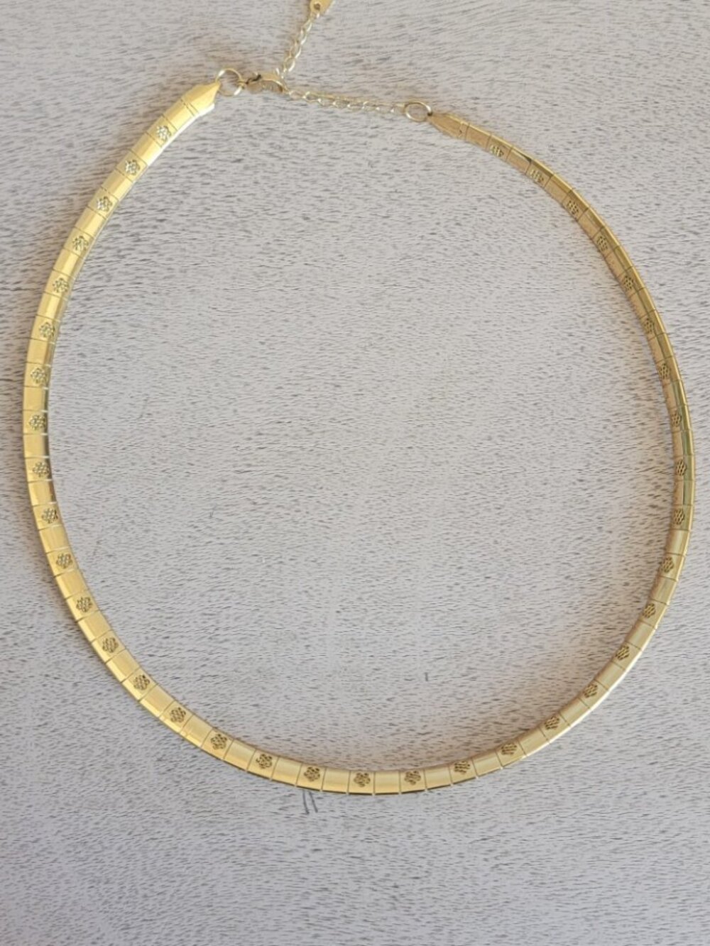 Omega Chain Necklace (17.5-19.5 Inches) in ION Plated YG Stainless Steel